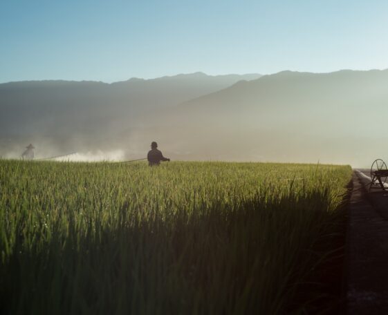 Agricultural Industry